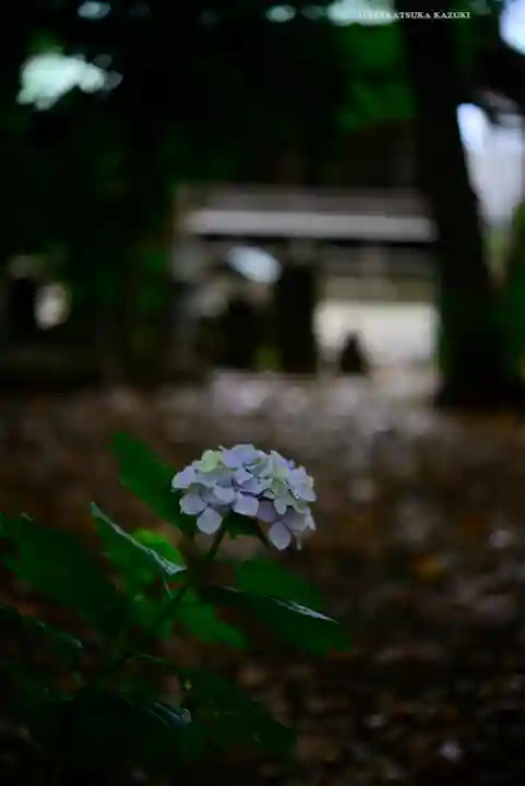 篠原八幡神社(神奈川県)