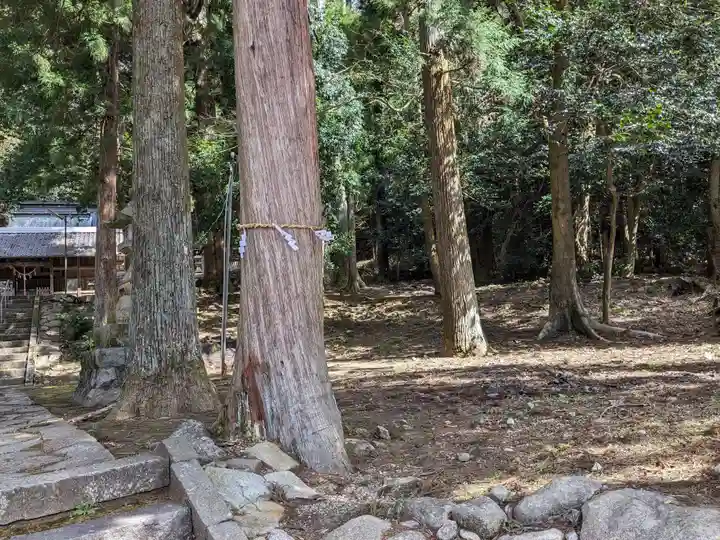 金峰神社(岐阜県)