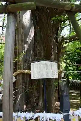 稲毛神社のその他建物