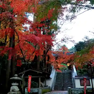 目の霊山 油山寺(静岡県)
