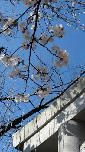 妙雲院(京都府)