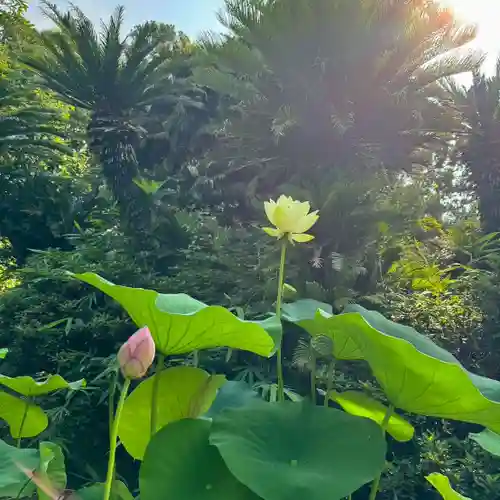 伊勢の国 四天王寺(三重県)