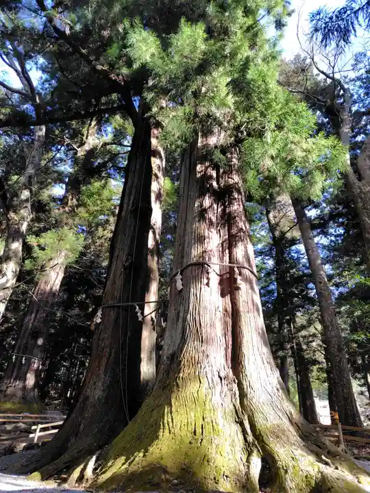 河口浅間神社(山梨県)