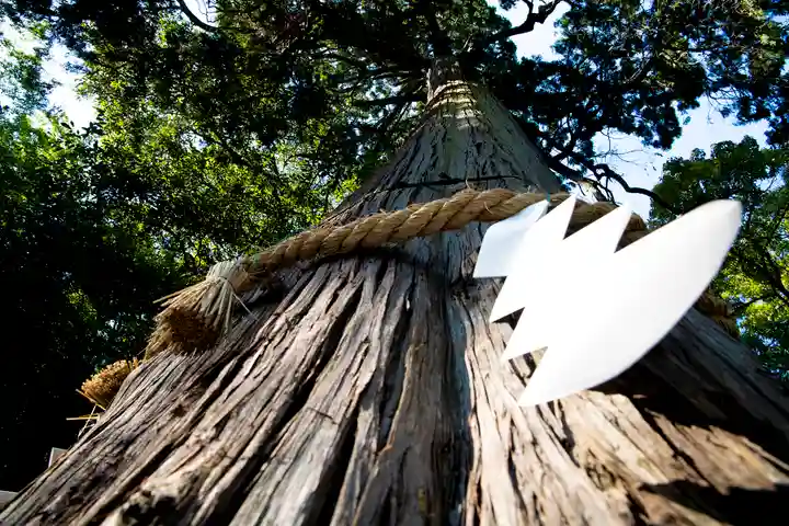 石鎚神社 口之宮 本社の自然