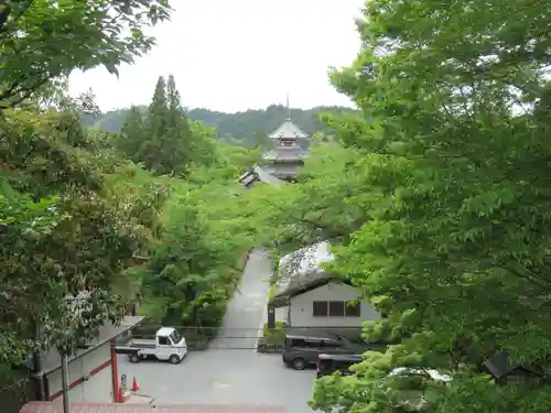 金峯山寺の景色