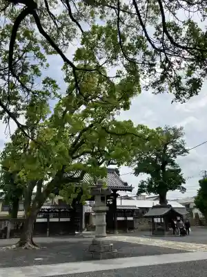 徳守神社(岡山県)