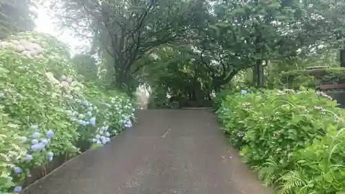 妙蓮寺(静岡県)