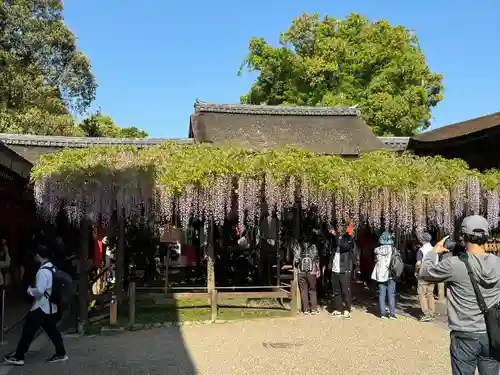 春日大社(奈良県)