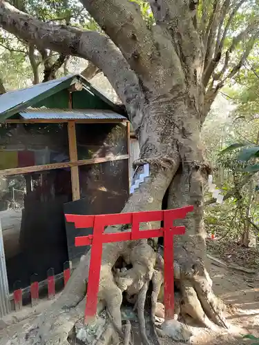 福祥寺（須磨寺）の鳥居