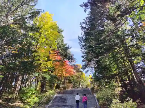 上川神社の景色