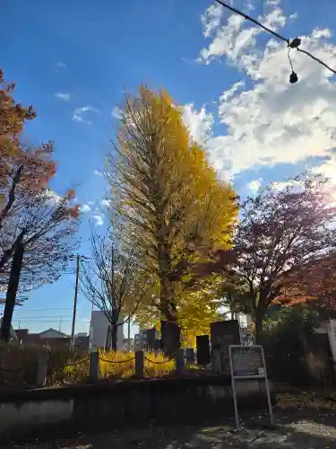 相模原氷川神社(神奈川県)