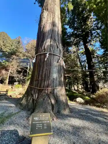 河口浅間神社(山梨県)