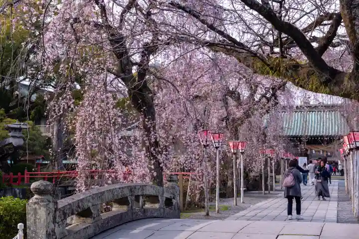三嶋大社(静岡県)