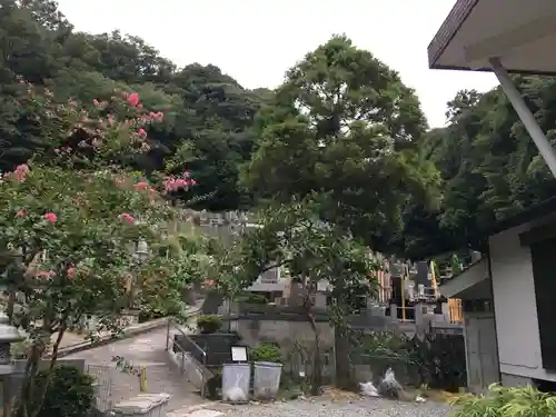 良心寺(神奈川県)