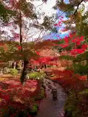 禅林寺（永観堂）(京都府)