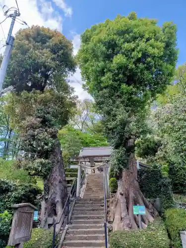 本郷氷川神社(埼玉県)