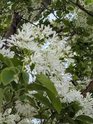 石濱神社(東京都)