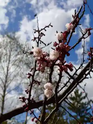 相馬神社(北海道)