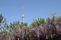 亀戸天神社(東京都)