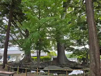 白鳥神社(長野県)