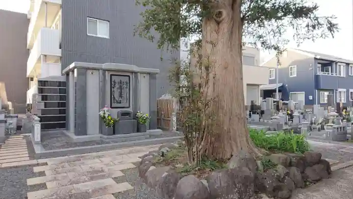 遠成寺(静岡県)