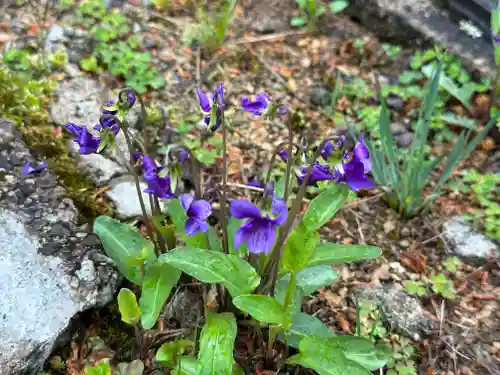 西明寺(山形県)