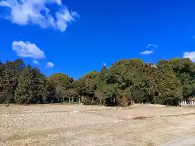熊野神社の自然