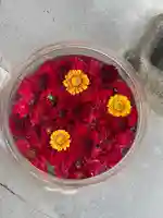 美濃國一宮 南宮大社(岐阜県)