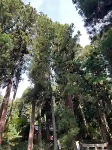 大宮温泉神社(栃木県)(2023年08月28日(月) 08時03分40秒投稿)