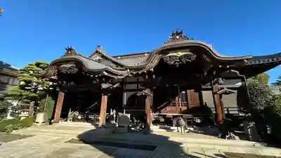 大円寺(東京都)