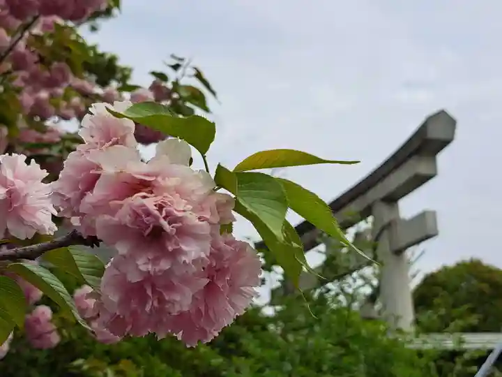 八雲神社(緑町)(栃木県)