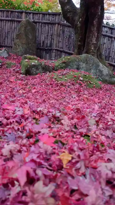 教林坊の{uncategorized: "未分類", other: "その他", undefined: "問題あり", building: "その他建物", grave: "お墓", sacred_gate: "鳥居", guardian: "狛犬", statue: "像", buddha: "仏像", history: "歴史", nature: "自然", garden: "庭園", animal: "動物", pagoda: "塔", temizu: "手水舎", mountain_gate: "山門・神門", sanctuary: "本殿・本堂", subordinate: "末社・摂社", art: "芸術", scenery: "景色", jizo: "地蔵", ema: "絵馬", goshuin: "御朱印", omikuji: "おみくじ", items: "授与品その他", amulet: "お守り", goshuincho: "御朱印帳", eats: "食事", festival: "お祭り", votive_dance: "神楽", shichigosan: "七五三参", wedding: "結婚式", experience: "体験その他", initially: "初詣", around: "周辺", anti_infection: "感染症対策"}