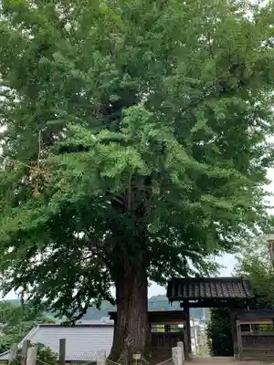 金剛寺(茨城県)