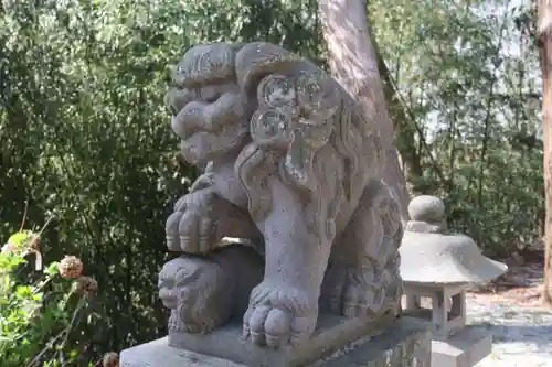 菅布禰神社の狛犬