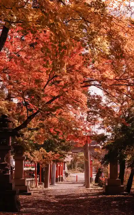 鼻顔稲荷神社(長野県)