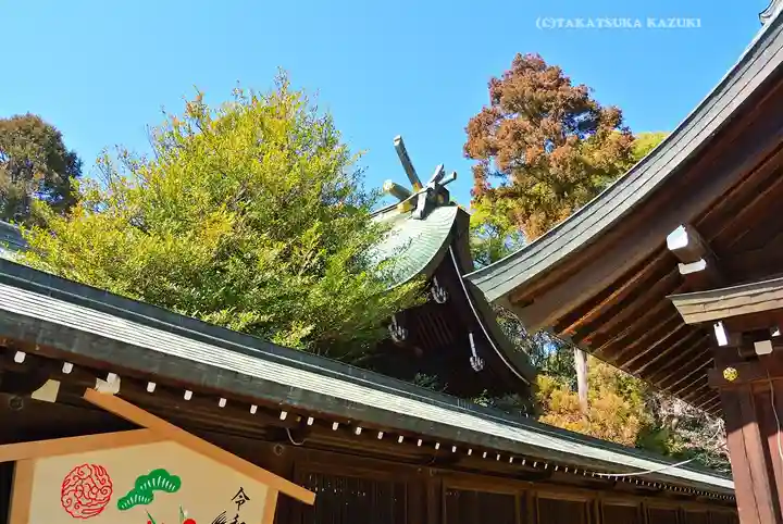 武蔵一宮氷川神社(埼玉県)