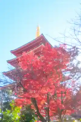 高幡不動尊　金剛寺(東京都)