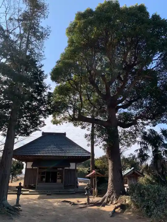 春日神社の本殿・本堂