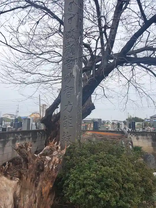 観音寺のその他建物