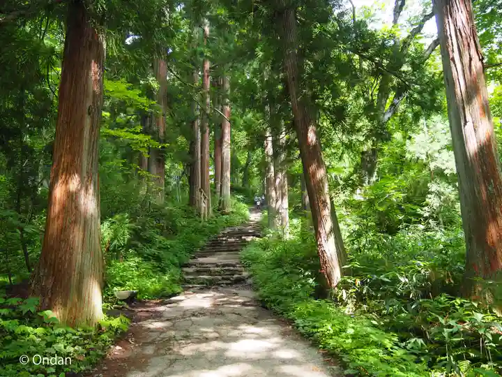戸隠神社九頭龍社(長野県)