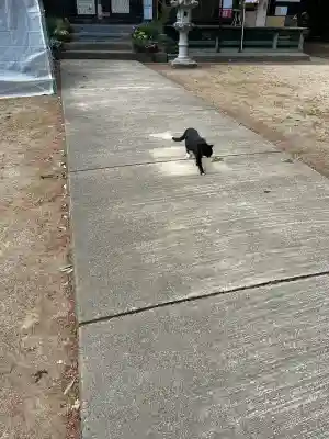 岡部春日神社～👹鬼門よけの🌺花咲く🌺やしろ～(福島県)