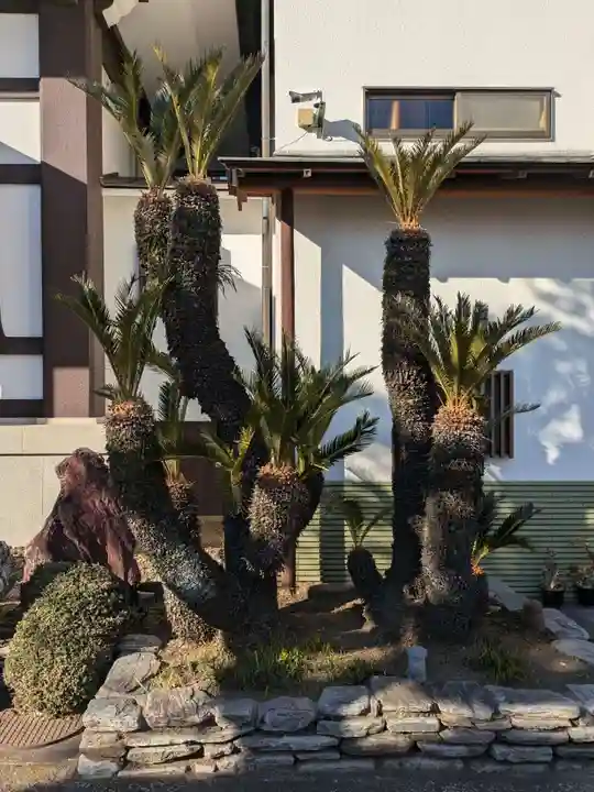 蓮久寺(東京都)