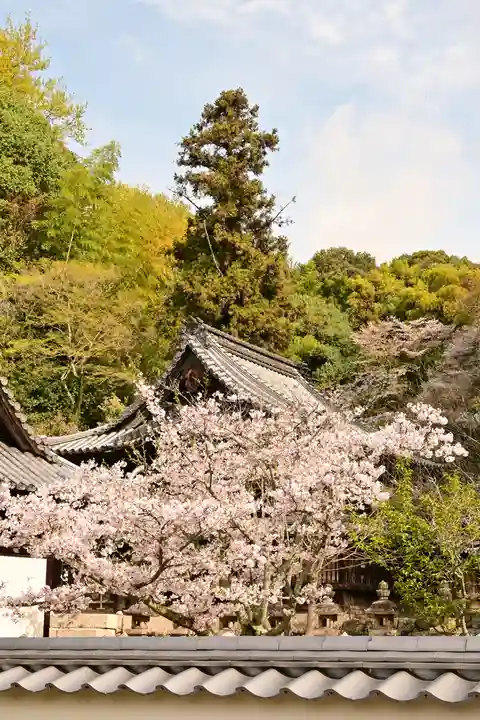 常信寺(愛媛県)