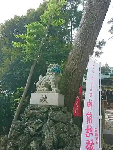 菟橋神社の狛犬