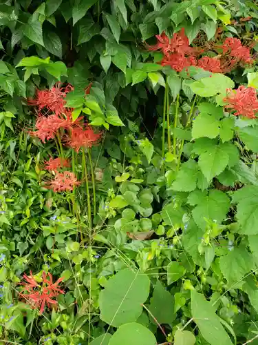 熊野神社の自然