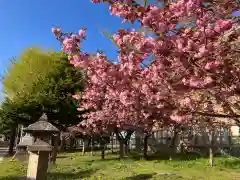 江南神社(北海道)