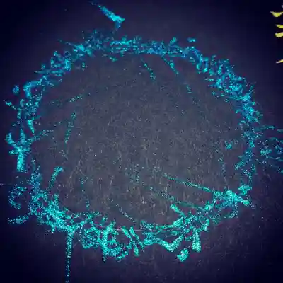 日蓮宗 総本山 塔頭 定林坊(じょうりんぼう)(山梨県)