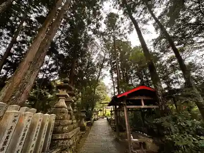 戸隠神社(奈良県)
