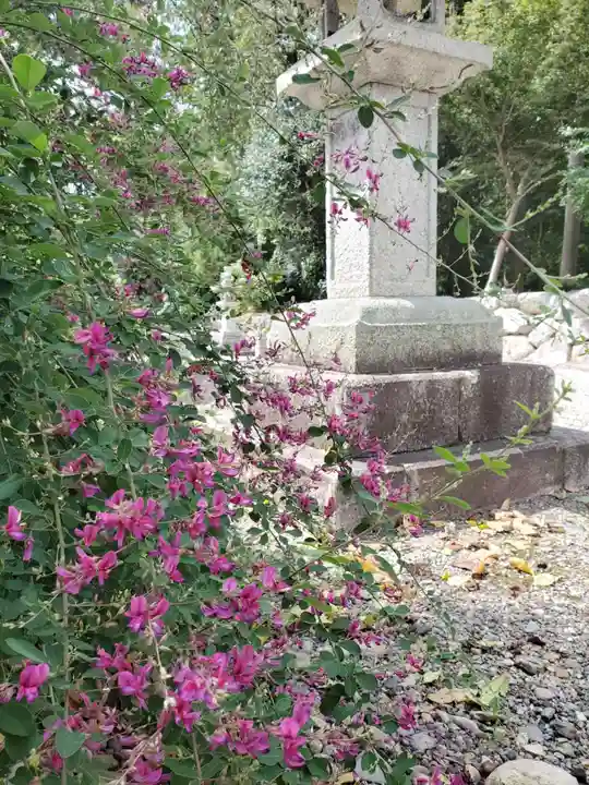沙沙貴神社の自然