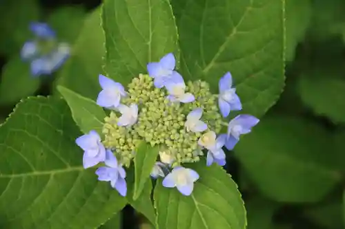 岩上神社の自然